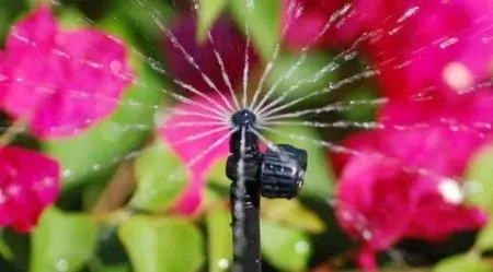 Verlegung einer Gartenbewässerung