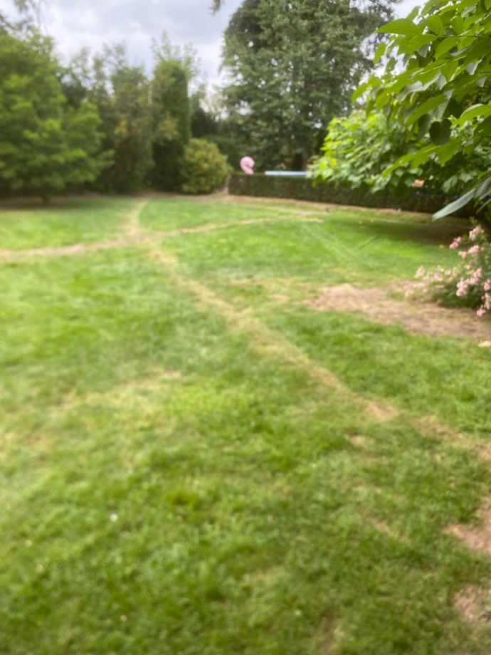 Rasenfläche im Privatgarten mit markierten Linien zur Planung der Bewässerungsanlage in Düsseldorf