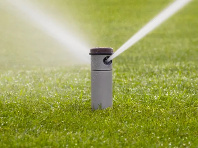 hunter getrieberegner auf großer rasenfläche im park