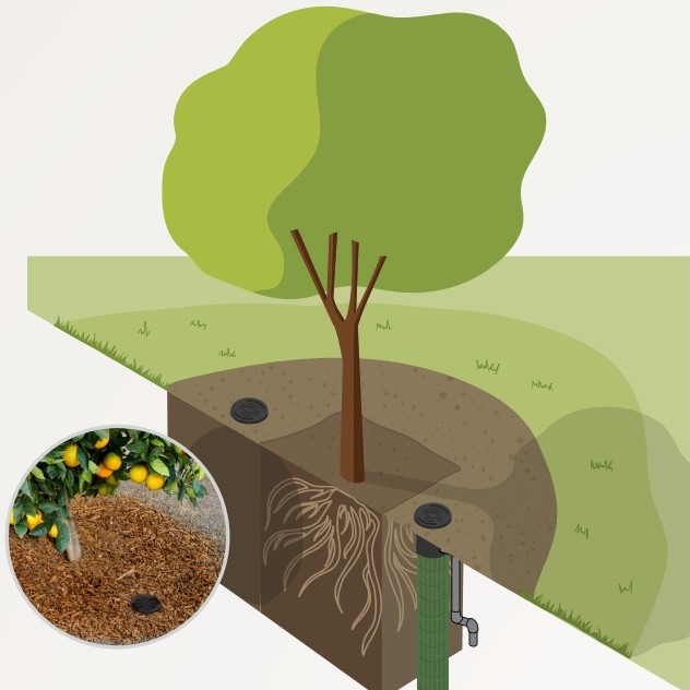 wurzelbewaesserung baum mit wurzelzonen bewaesserung und drainagerohr