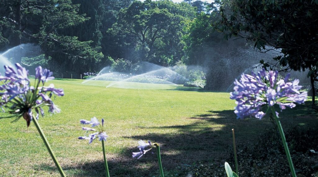 regner im garten vor baeumen und hunter blumen beregnen den rasen